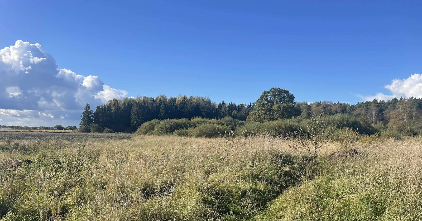 plot Šiaulių rajono sav., Vinkšnėnuose, Aplinkkelio g. – image 5