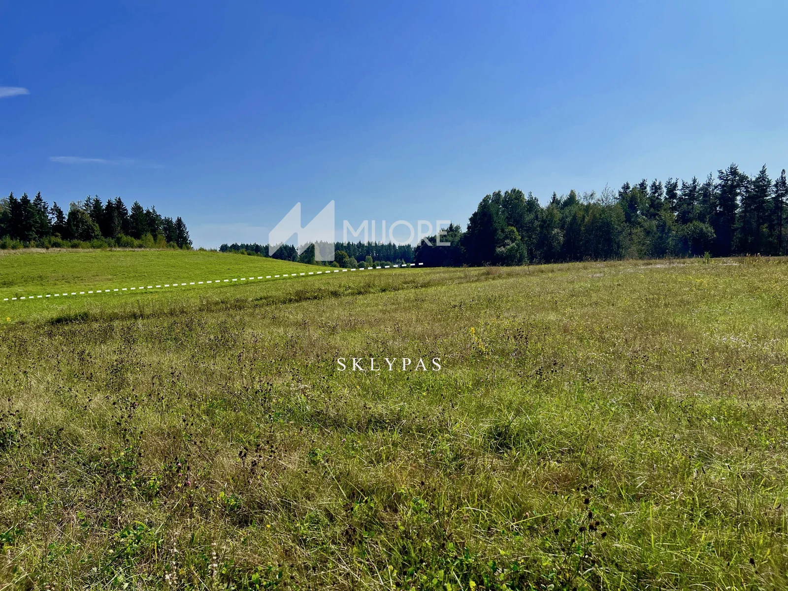 Sklypas Vilniaus rajono sav., Dvarykščiuose, Dvarykščių g. – nuotrauka 5