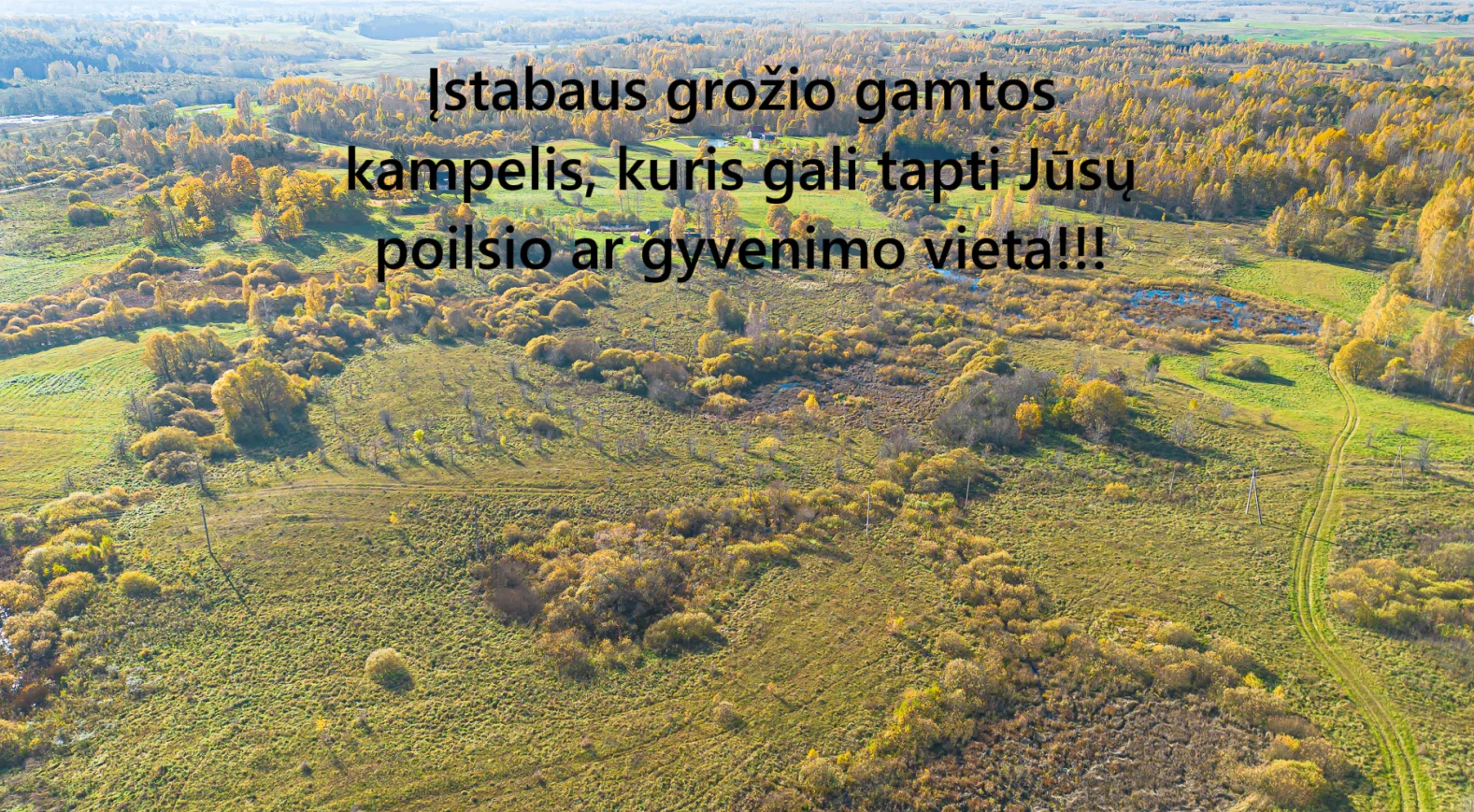 участок Molėtų rajono sav., Čivyliuose – изображение 3