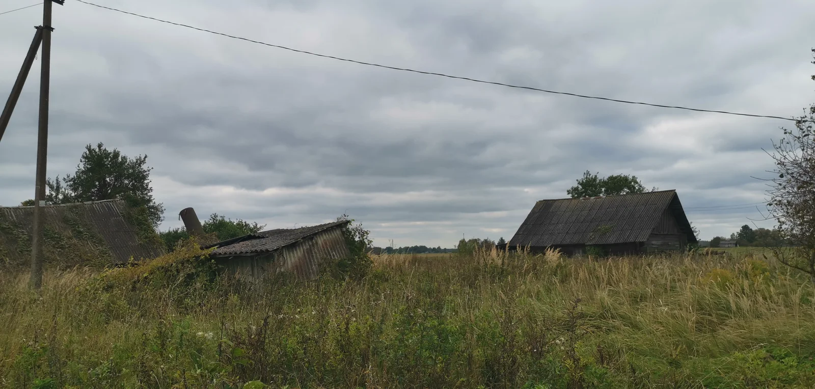 Farmstead Panevėžio rajono sav., Nibragalyje, Ringužio g. – image 5