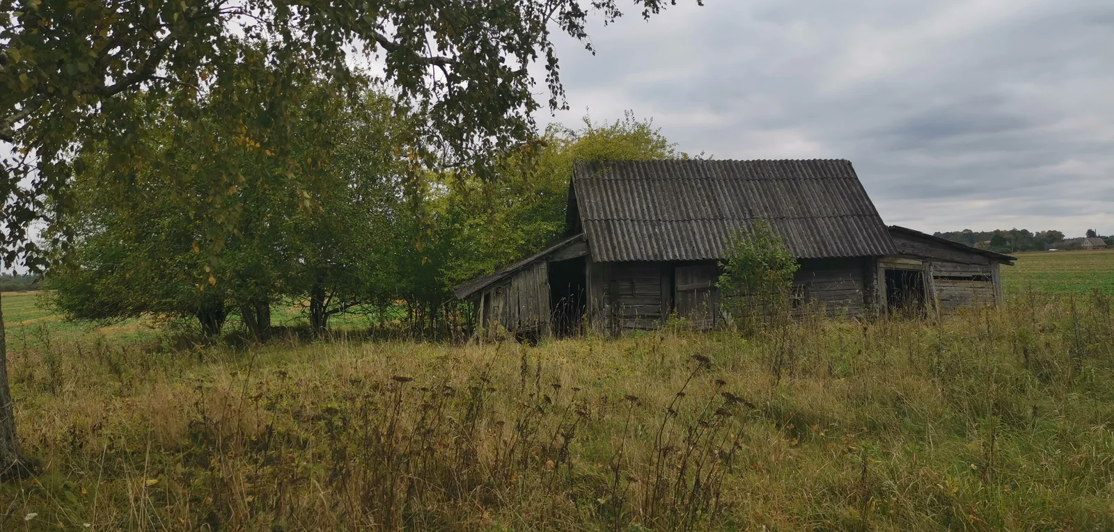Farmstead Panevėžio rajono sav., Nibragalyje, Ringužio g. – image 3