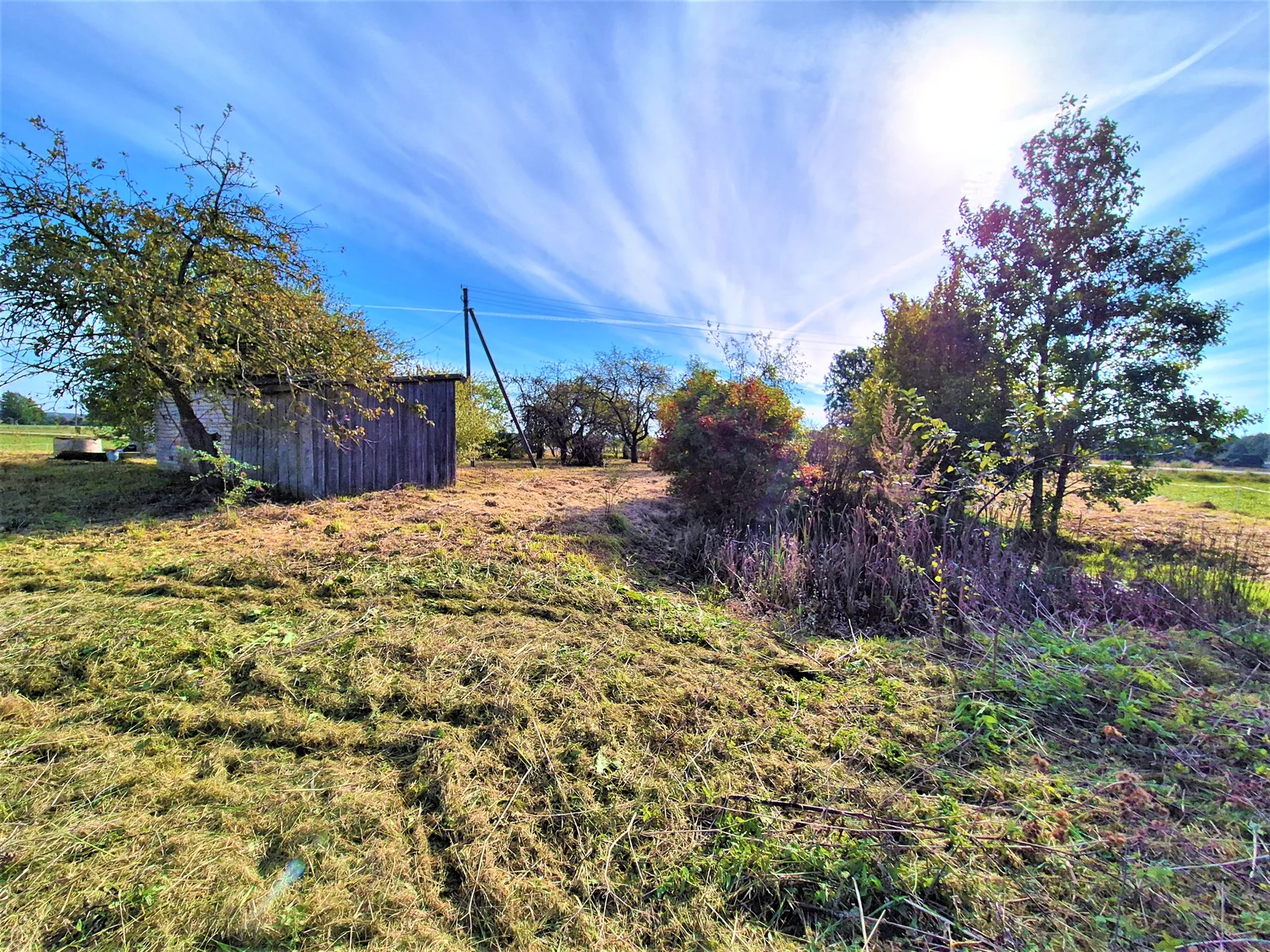 Farmstead Radviliškio rajono sav., Skėmiuose, Grinkiškio g. – image 5