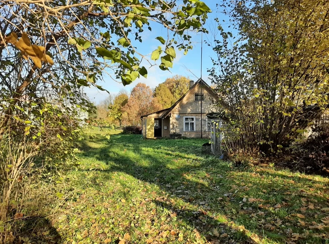 Farmstead Biržų rajono sav., Nemunėlio Radviliškis, Nemunėlio g. – image 3