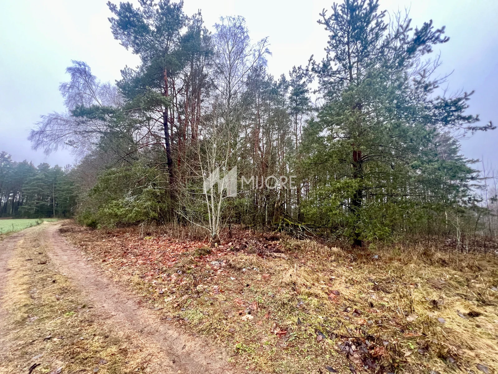 Sklypas Vilniaus rajono sav., Padvarninkuose – nuotrauka 5