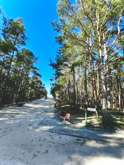 Jūros g. 28, Šventoji, Palanga, 2 kamb. – изображение 4