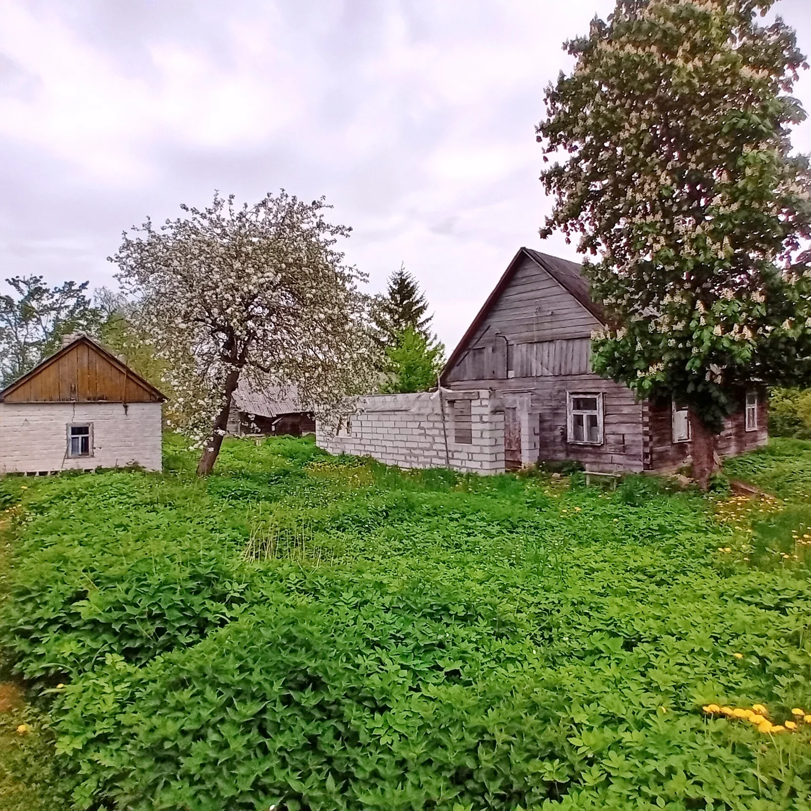 Farmstead Pakruojo rajono sav., Užubeliuose – image 3
