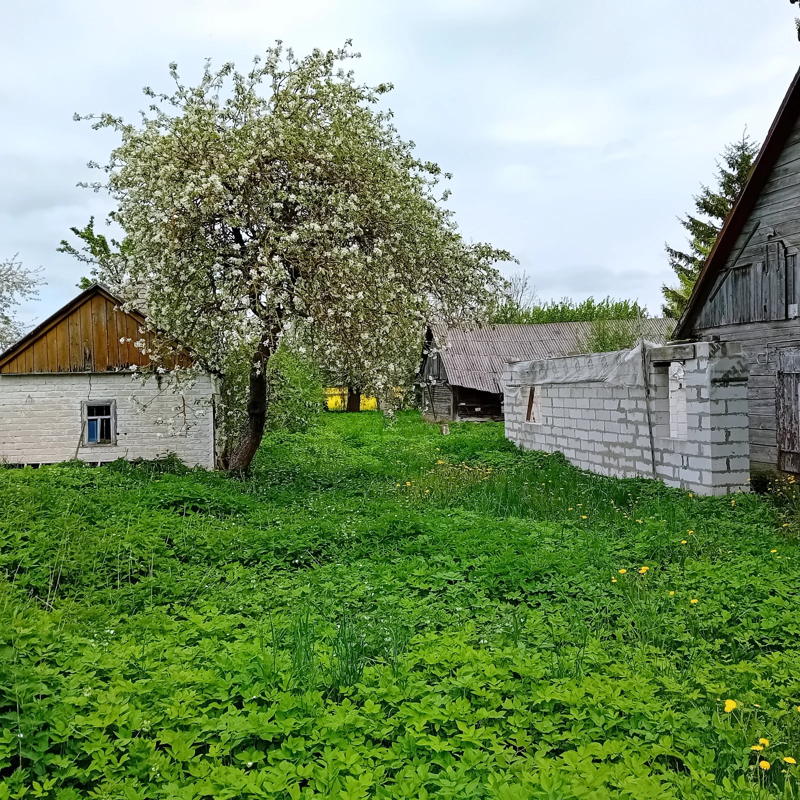 Farmstead Pakruojo rajono sav., Užubeliuose – image 5