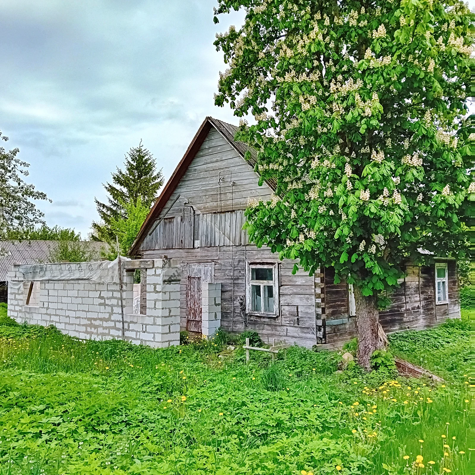 Farmstead Pakruojo rajono sav., Užubeliuose – image 4