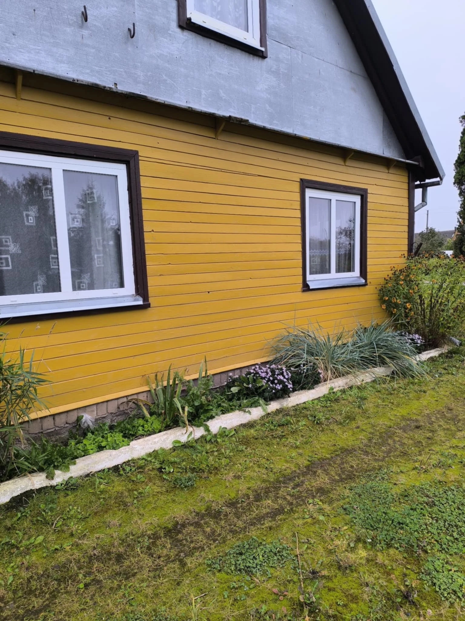 Farmstead Kupiškio rajono sav., Alizavoje, Repeniškio g. – image 3