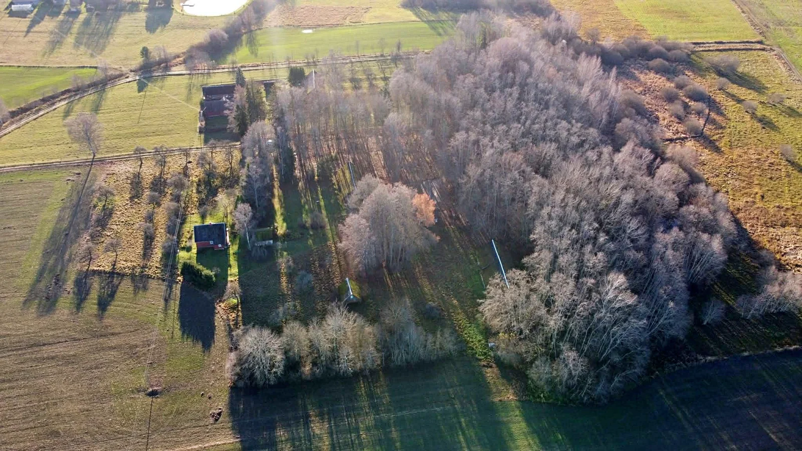 Farmstead Rokiškio rajono sav., Juodonyse, Valiulio Kalnelio g. – image 3