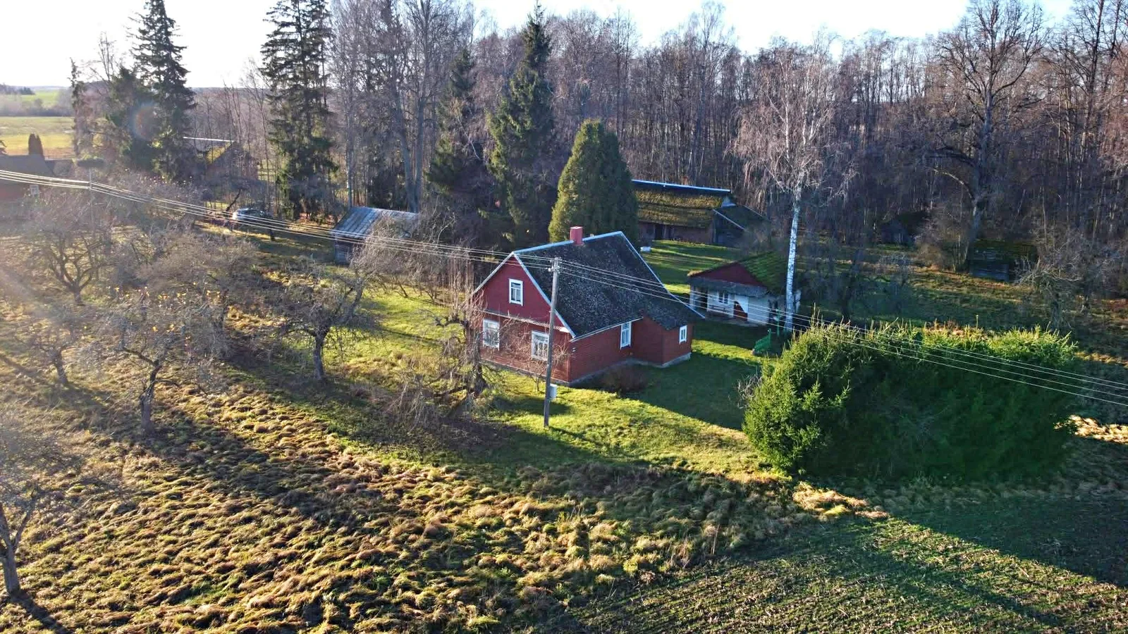 Farmstead Rokiškio rajono sav., Juodonyse, Valiulio Kalnelio g. – image 4