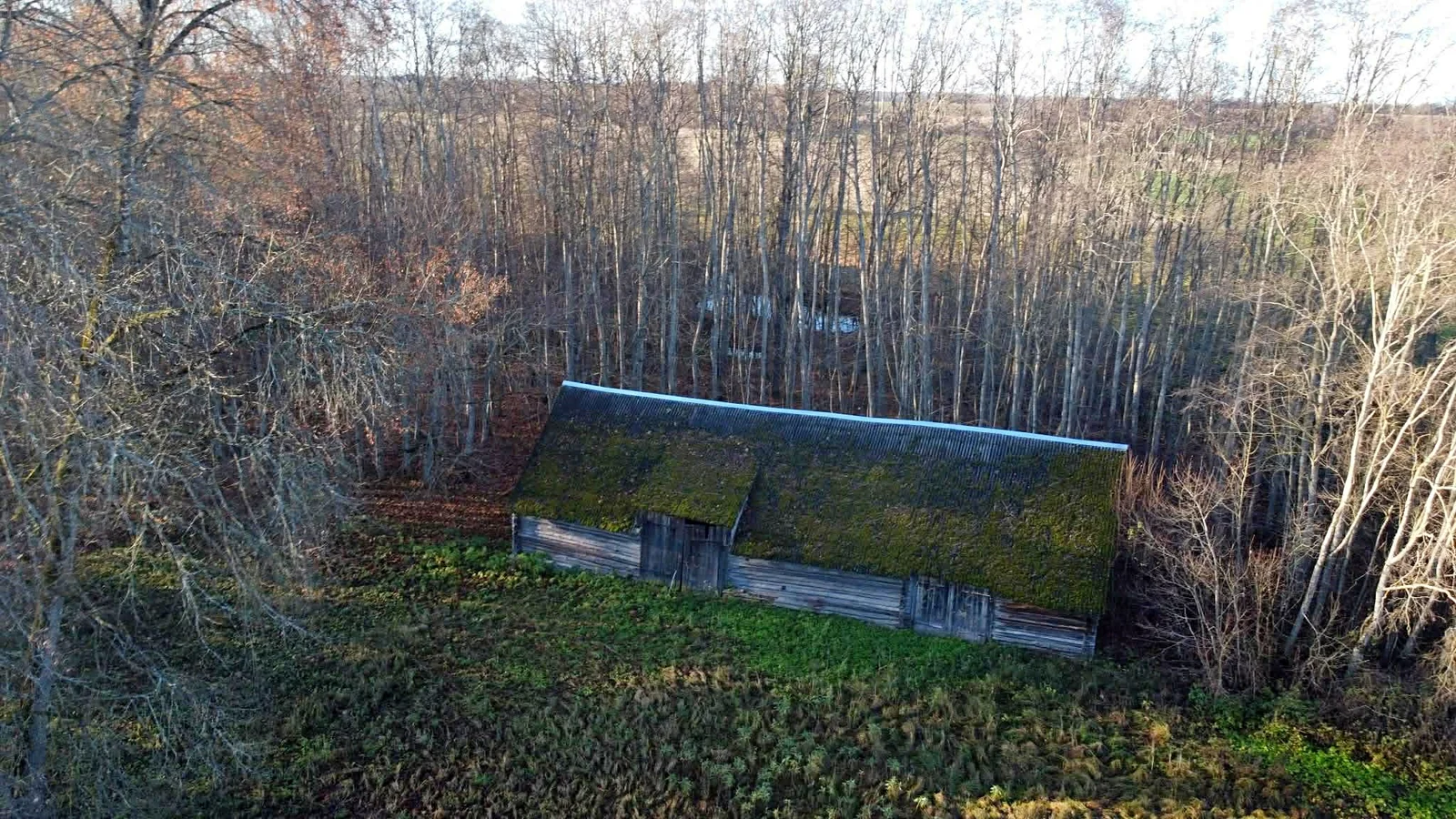 Farmstead Rokiškio rajono sav., Juodonyse, Valiulio Kalnelio g. – image 6