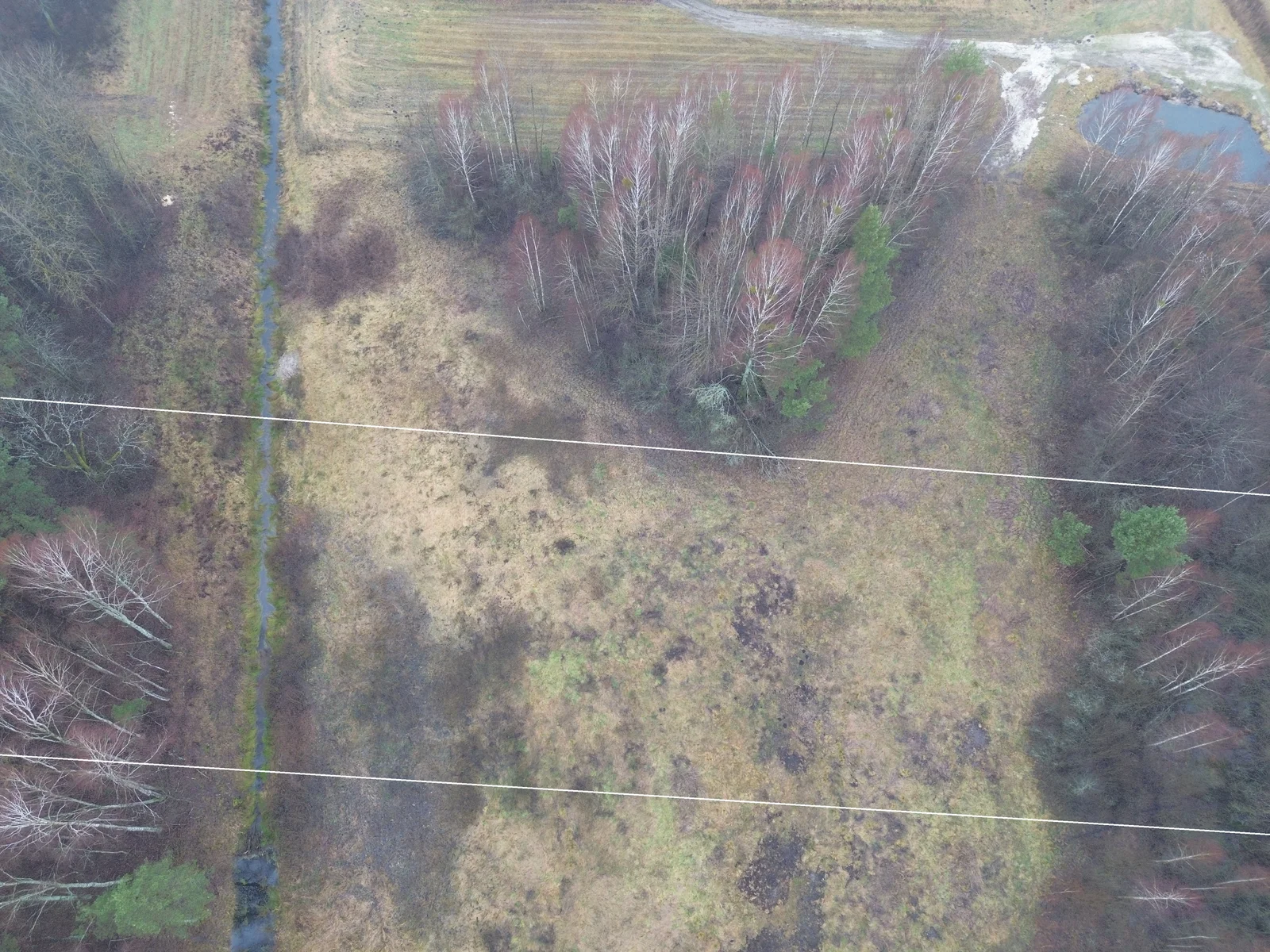 Sklypas Druskininkų sav., Jaskonyse, Jaskonių g. – nuotrauka 6