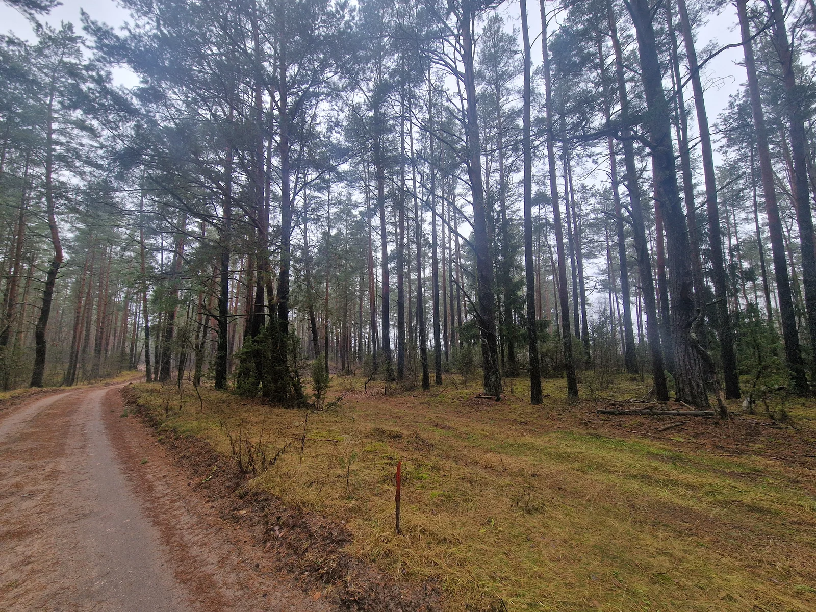 Sklypas Druskininkų sav., Jaskonyse, Jaskonių g. – nuotrauka 3