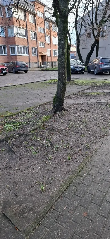 Ligoninės g., Centras, Klaipėda, 3 kamb. – изображение 2