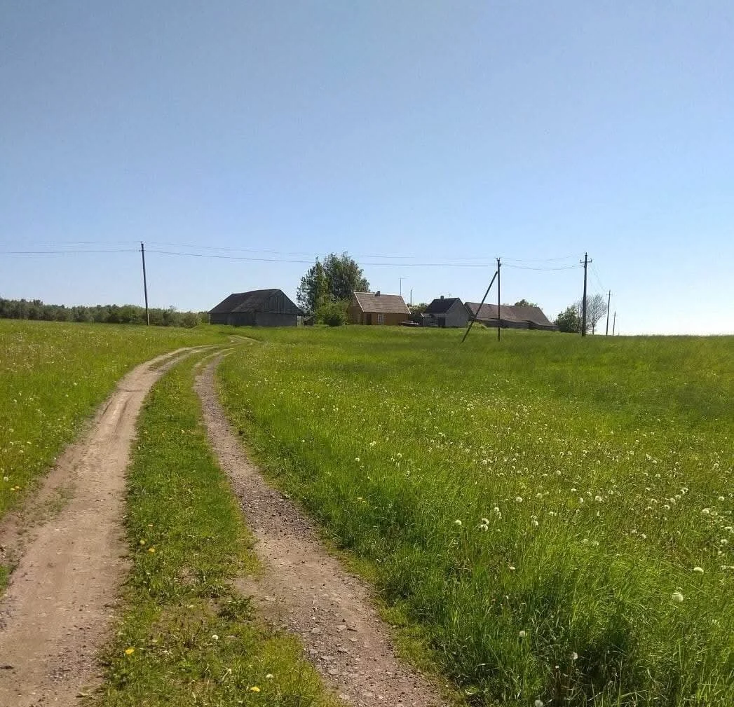 Homestead Kelmės rajono sav., Žirnainiuose – image 6