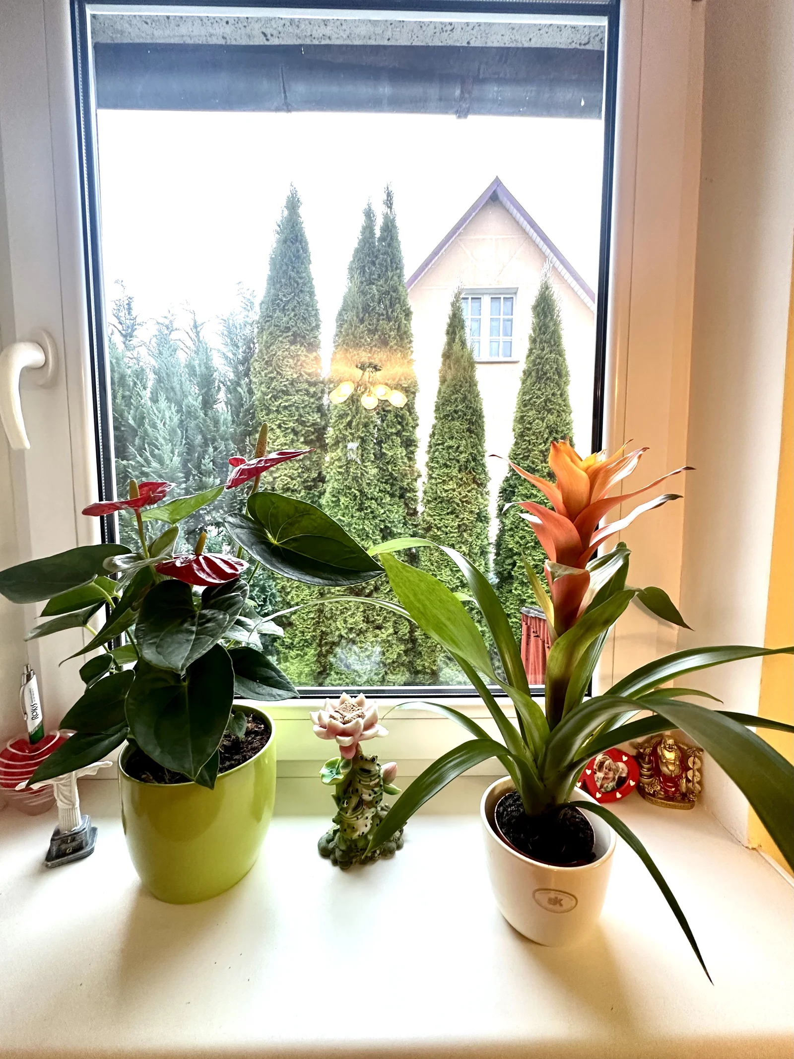 Garden House Klaipėdos rajono sav., Kaspariškiuose, Gručeikių g. – image 5