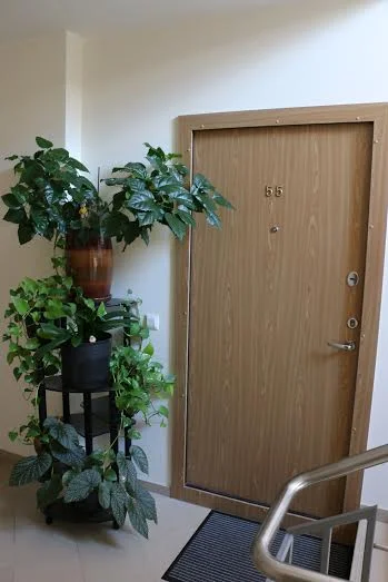 Kretingos g., Palanga, Palanga, 2 kamb. – nuotrauka 6