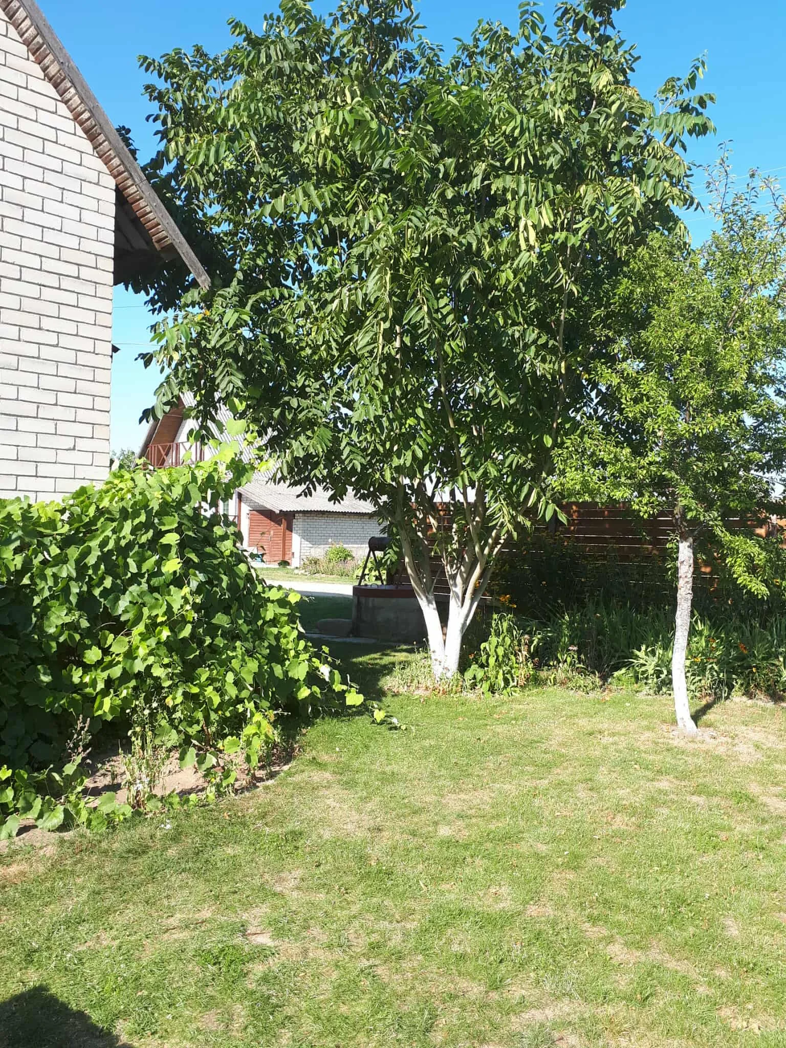 Садовый дом Panevėžio rajono sav., Daukniškiuose, Tulpių g. – изображение 3
