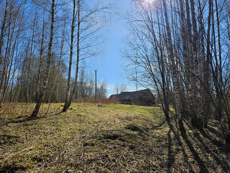 Farmstead Utenos rajono sav., Kalviuose – image 4