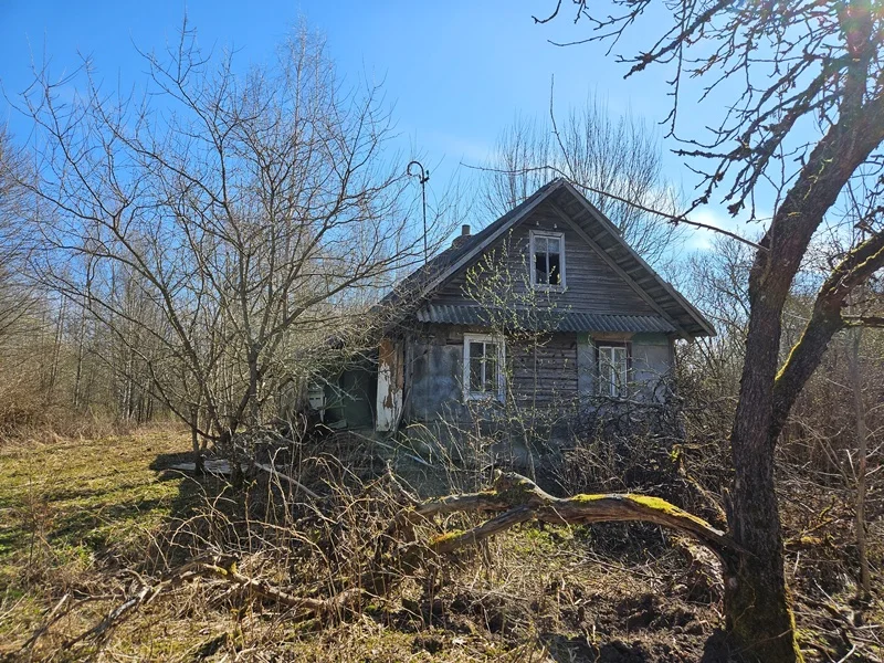 Farmstead Utenos rajono sav., Kalviuose – image 5