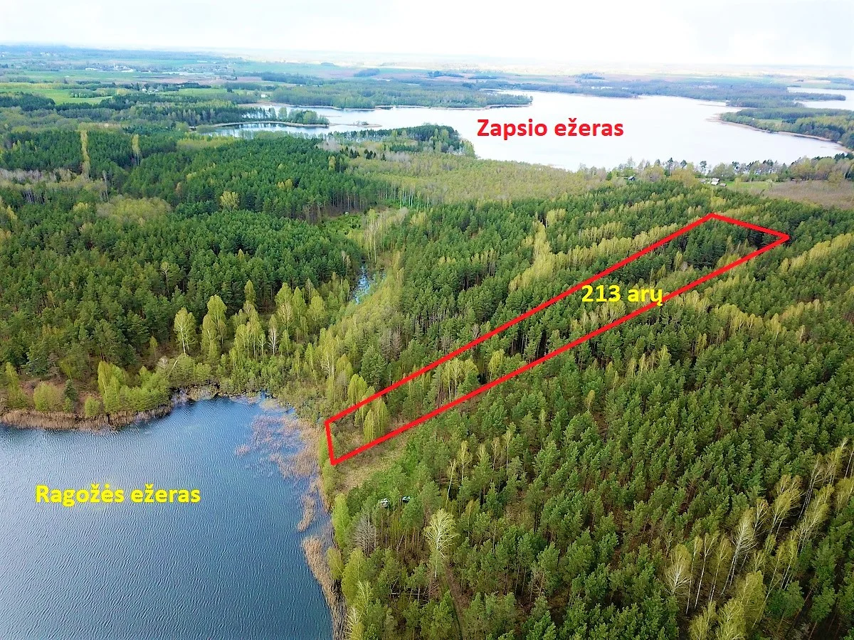 участок Lazdijų rajono sav., Pazapsiuose, Ragožės g. – изображение 6