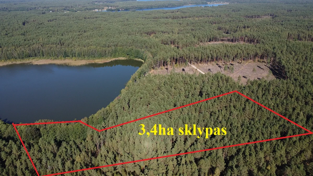 участок Lazdijų rajono sav., Ivoškuose, Ivoškų g. – изображение 5