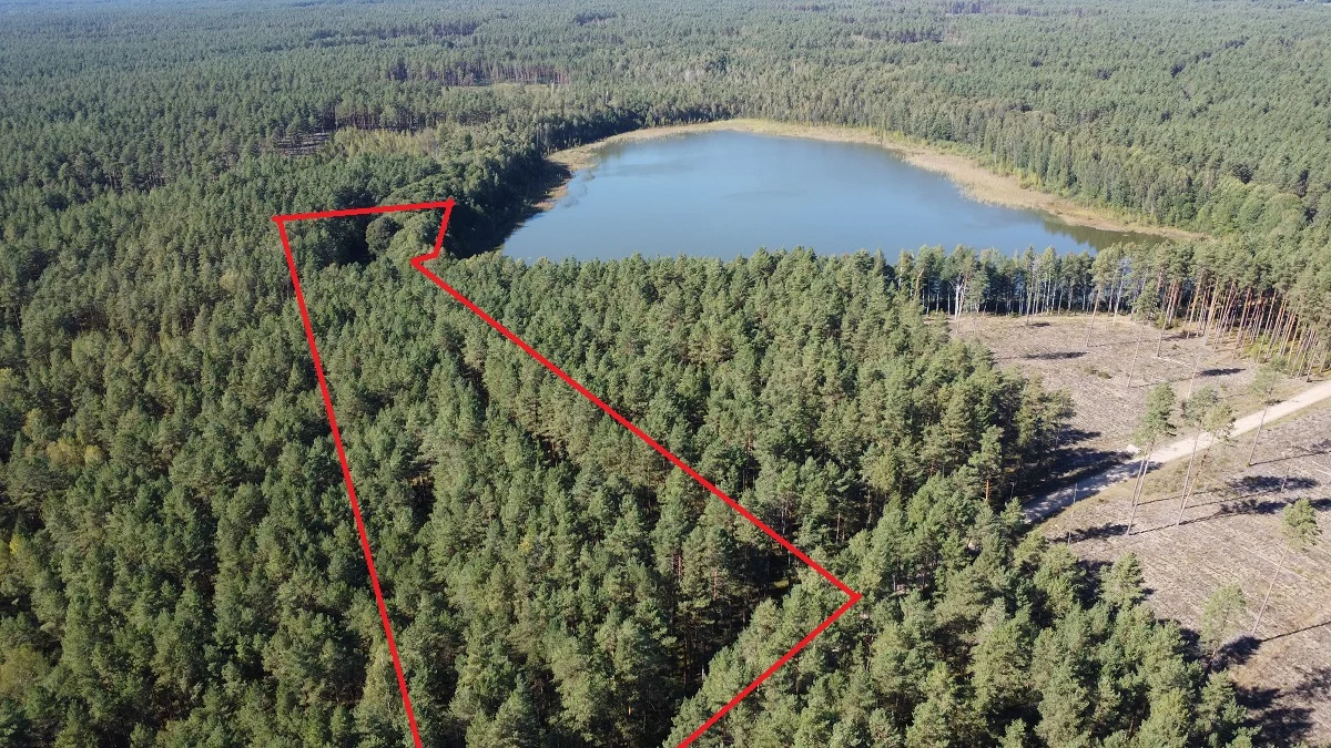 участок Lazdijų rajono sav., Ivoškuose, Ivoškų g. – изображение 3