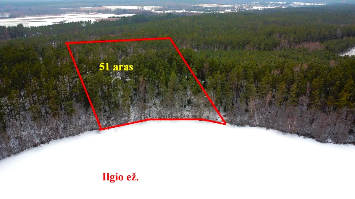 участок Lazdijų rajono sav., Bertašiūnuose – изображение 6