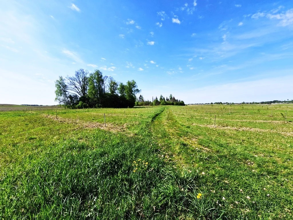 участок Varėnos rajono sav., Sarapiniškėse, Pievų g. – изображение 4