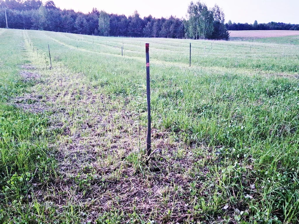 участок Varėnos rajono sav., Sarapiniškėse, Pievų g. – изображение 6