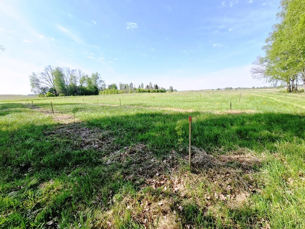 участок Varėnos rajono sav., Sarapiniškėse, Pievų g. – изображение 3