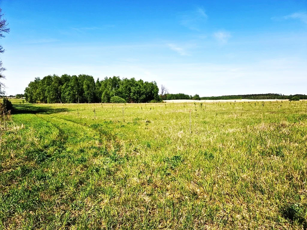 участок Varėnos rajono sav., Sarapiniškėse, Pievų g. – изображение 5