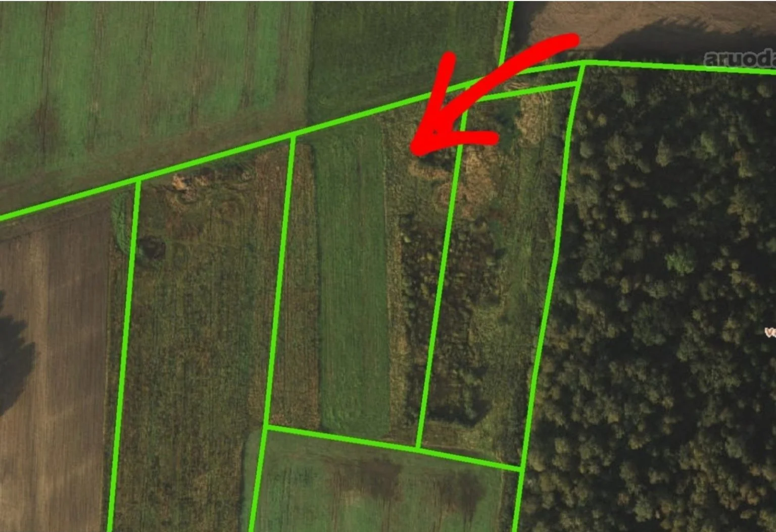 Listing image