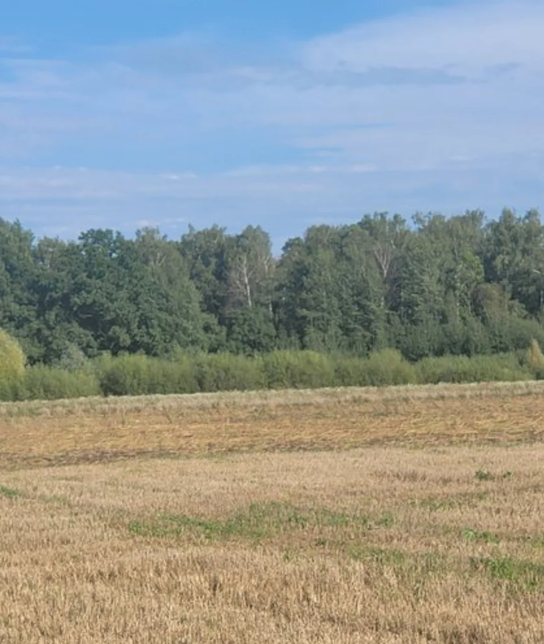 участок Panevėžio rajono sav., Vaivaduose, Klevų g. – изображение 4