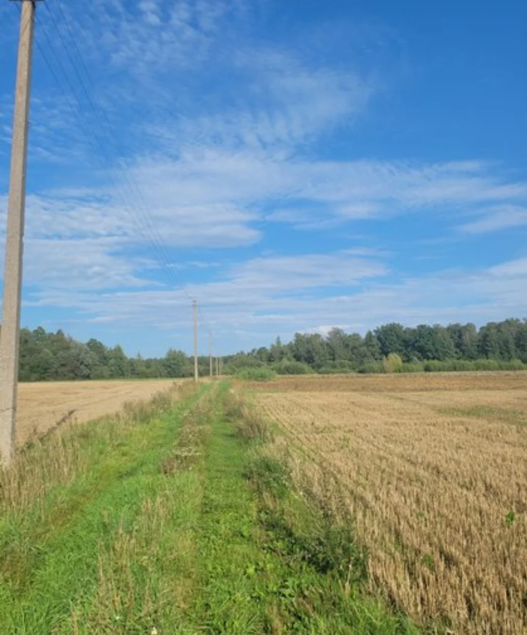 участок Panevėžio rajono sav., Vaivaduose, Klevų g. – изображение 6