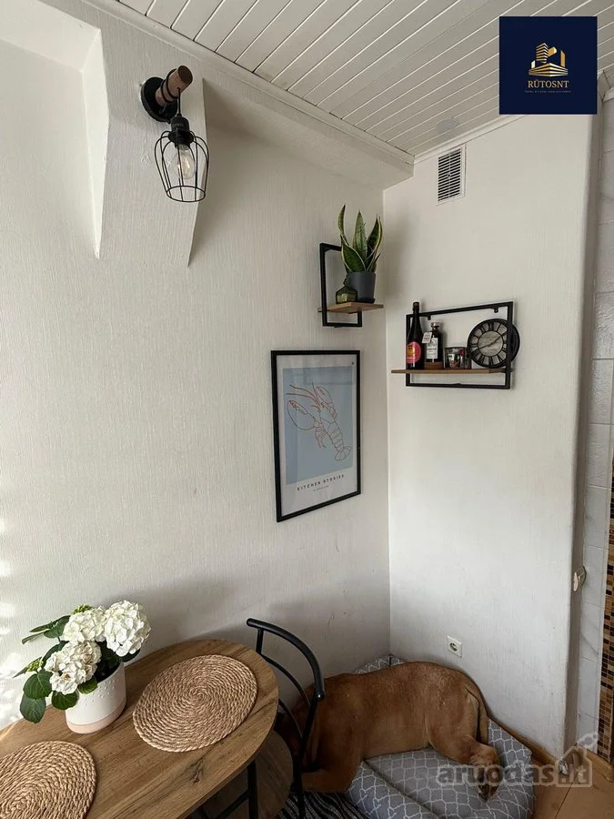 Jurginų g., Vėtrungė, Klaipėda, 2 kamb. – изображение 6