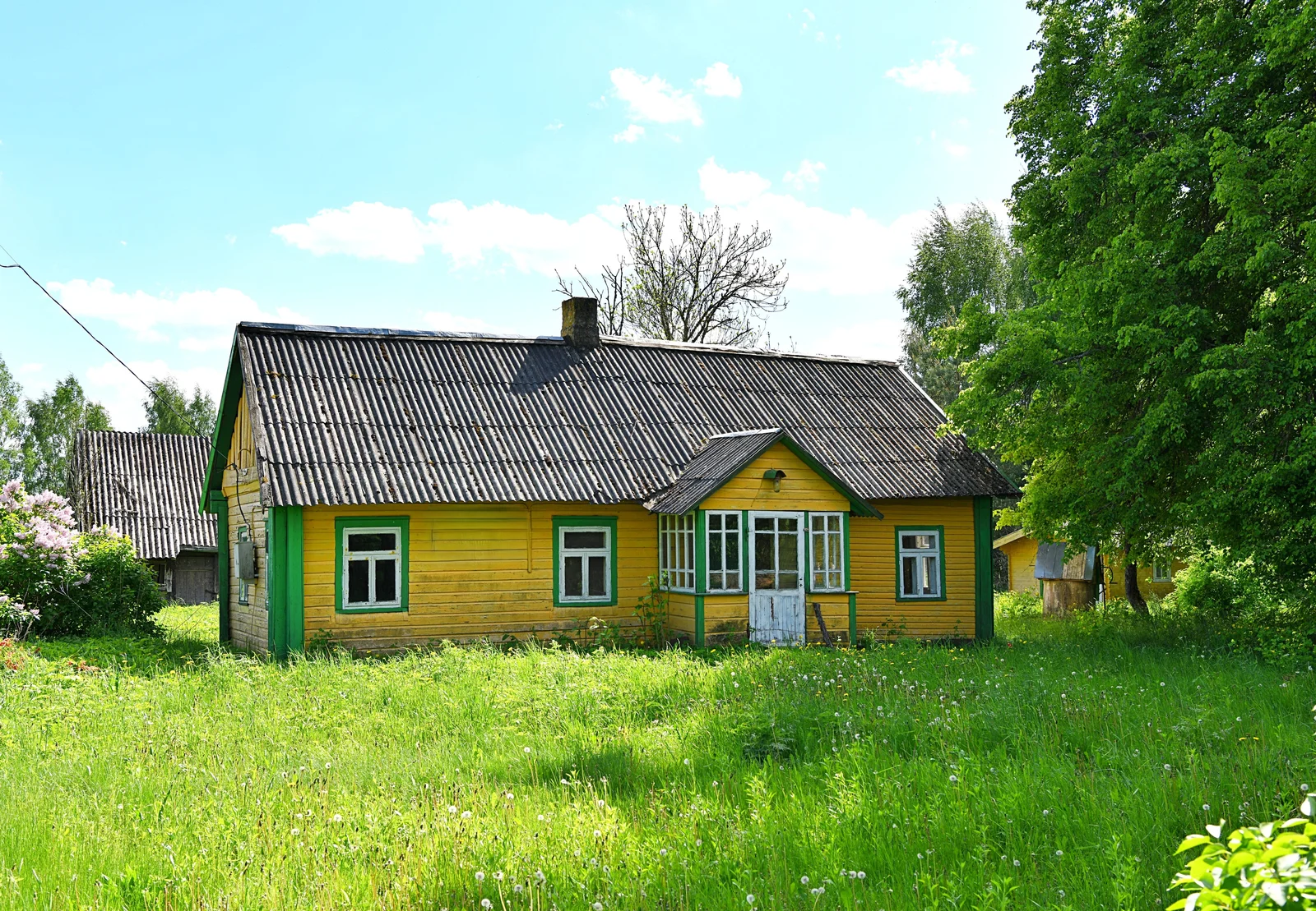 Listing image