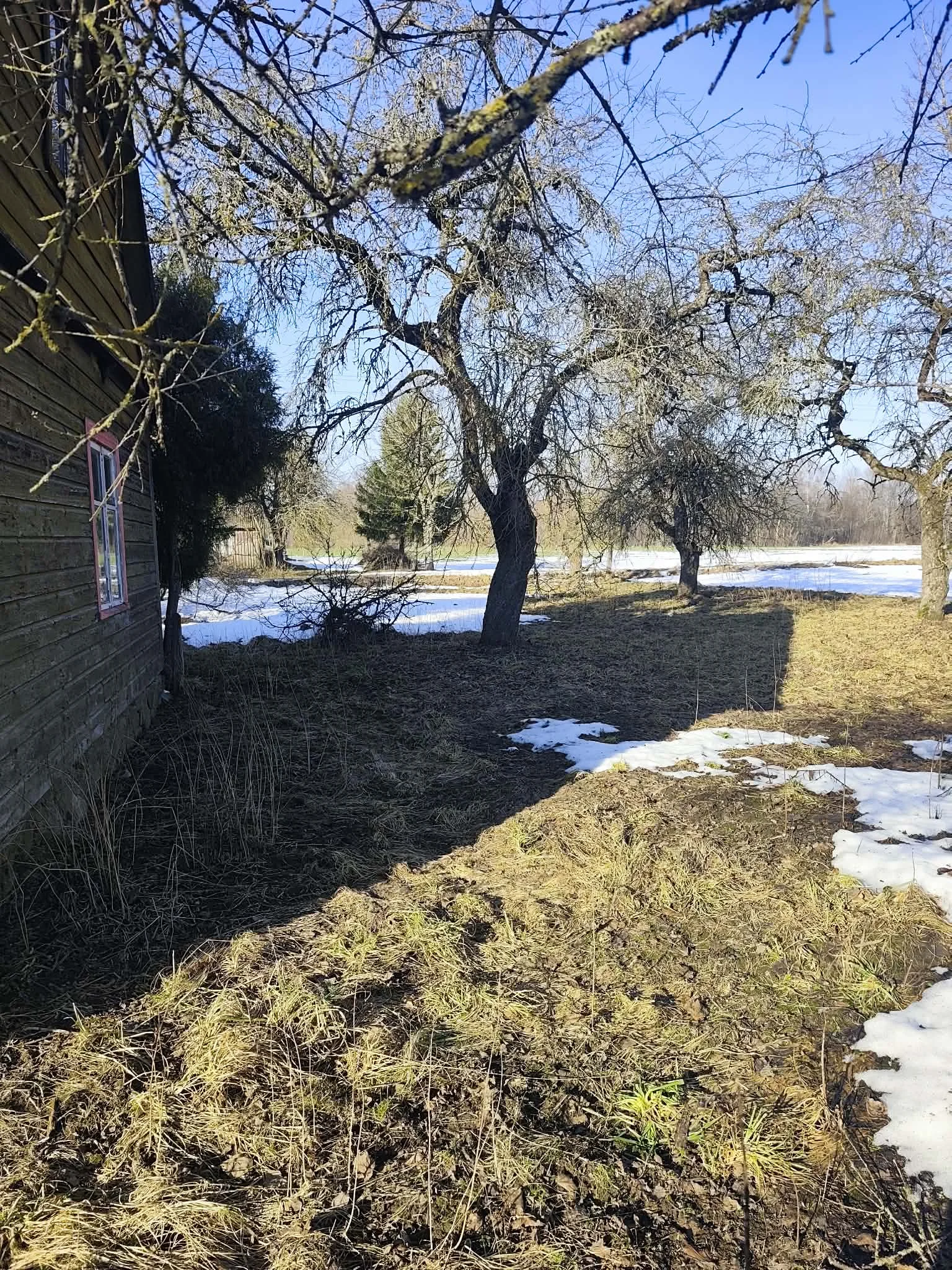 Жилой дом Raseinių rajono sav., Naujokuose – изображение 3