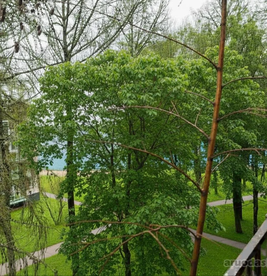 Draugystės g. 6, Elektrėnai, 2 kamb. – image 6