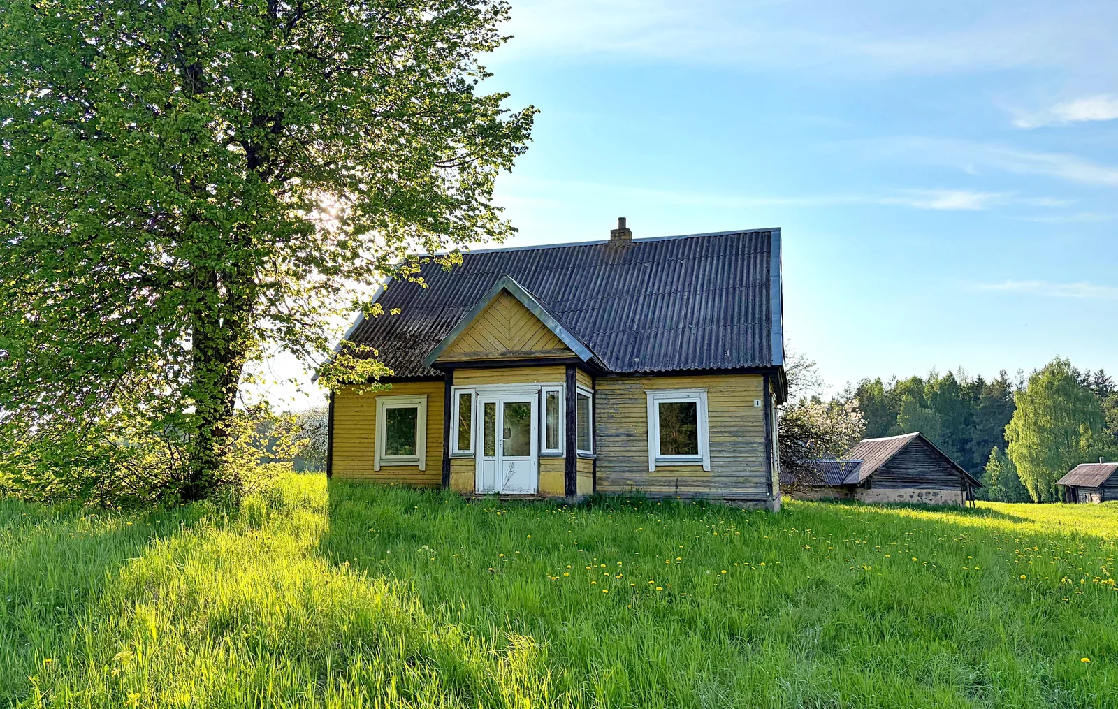 Listing image