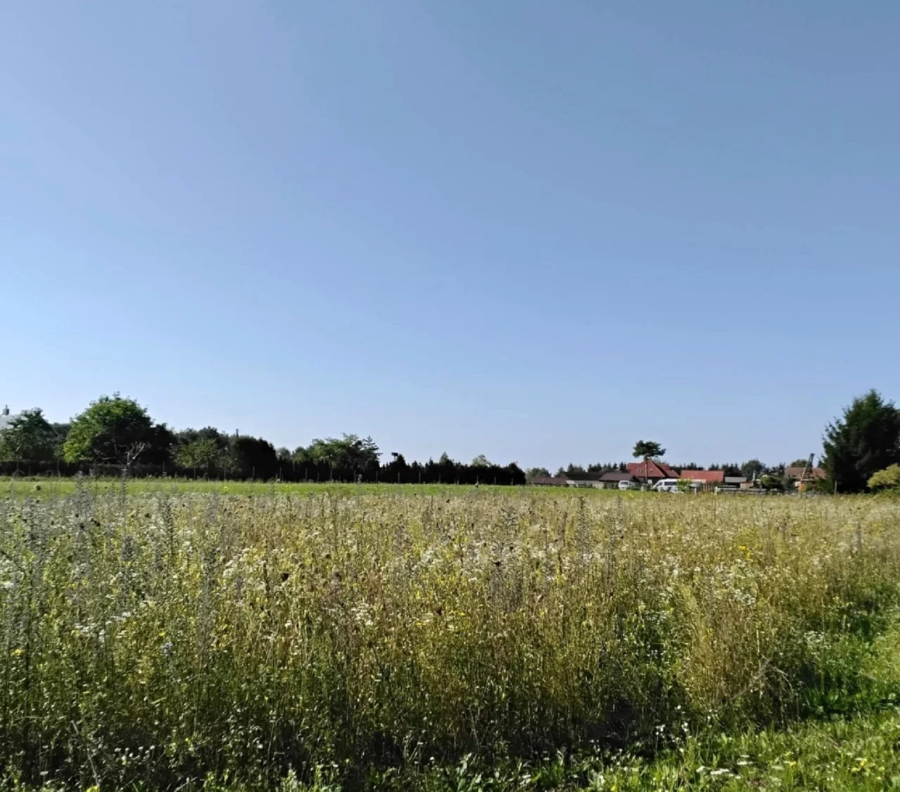участок Klaipėdos rajono sav., Toleikiuose, Dumpių g. – изображение 5