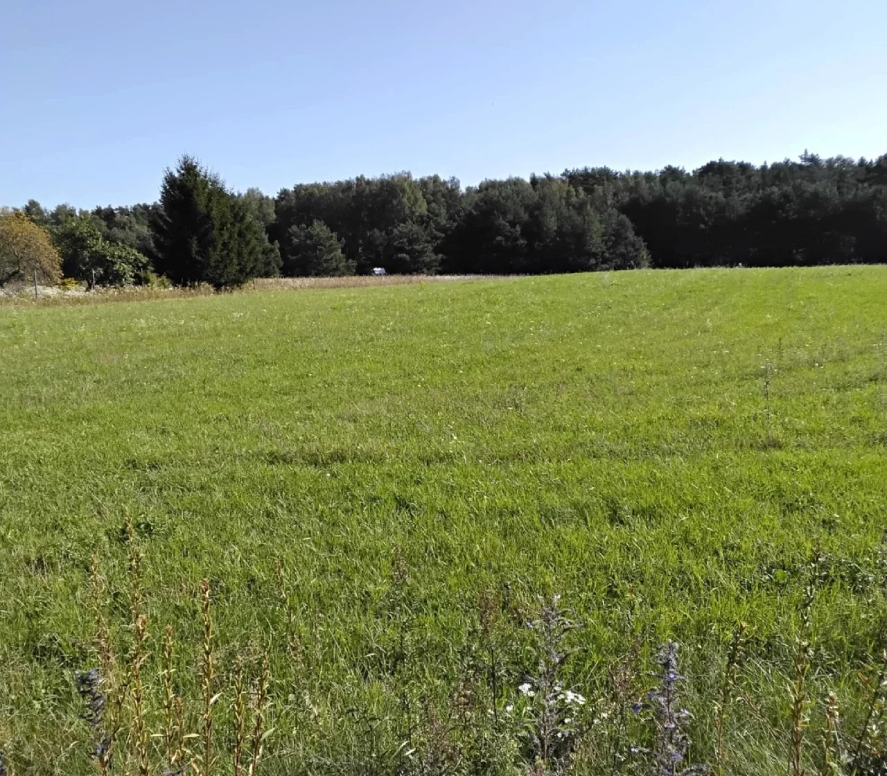 участок Klaipėdos rajono sav., Toleikiuose, Dumpių g. – изображение 3