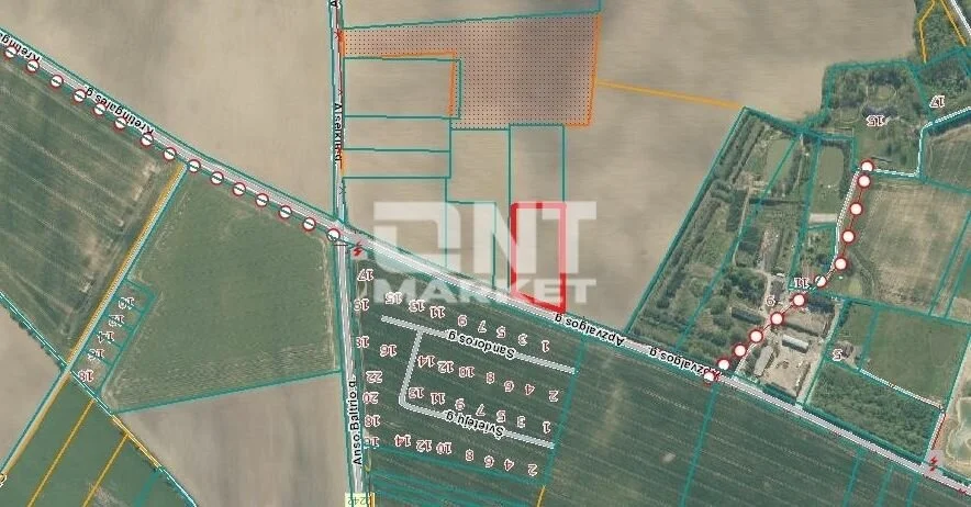 Sklypas Klaipėdos rajono sav., Bruzdeilyne, Apžvalgos g. – nuotrauka 3
