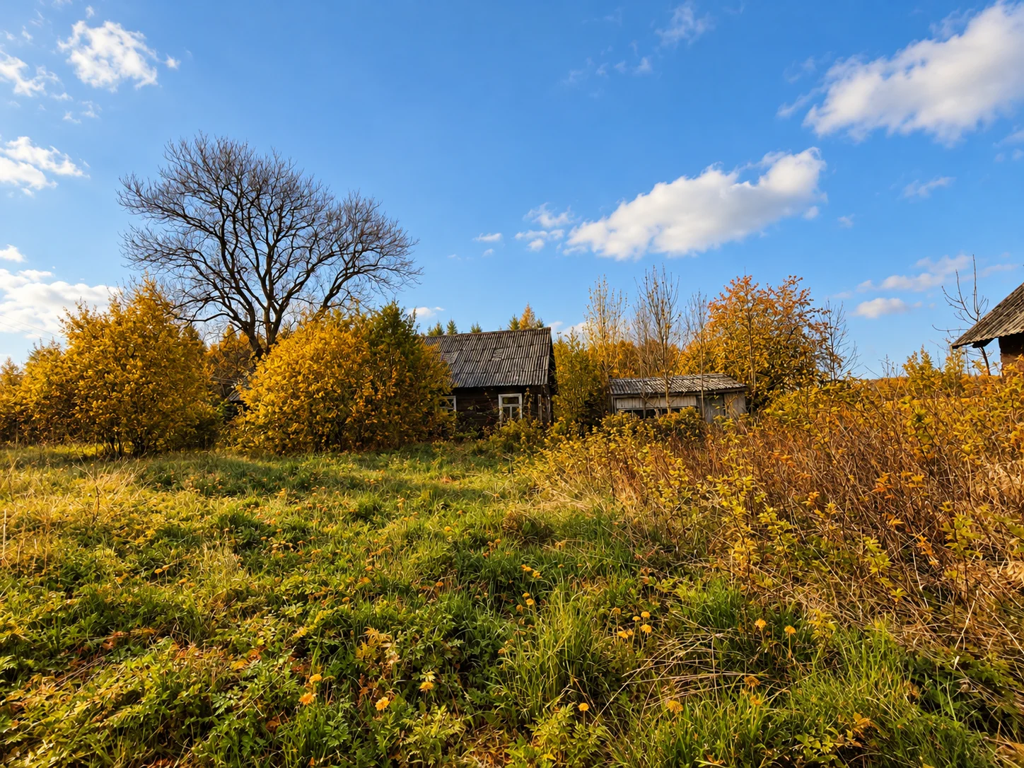 Farmstead Anykščių r. sav., Daujočiuose, Pievų g. – image 3