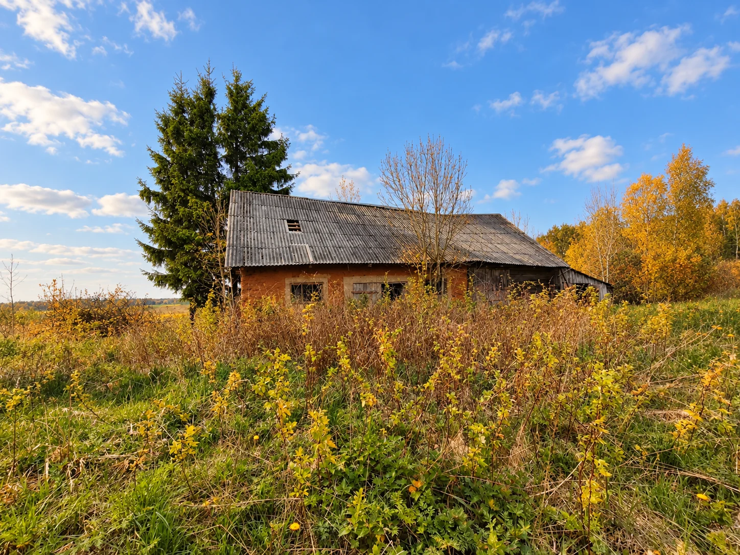 Farmstead Anykščių r. sav., Daujočiuose, Pievų g. – image 6