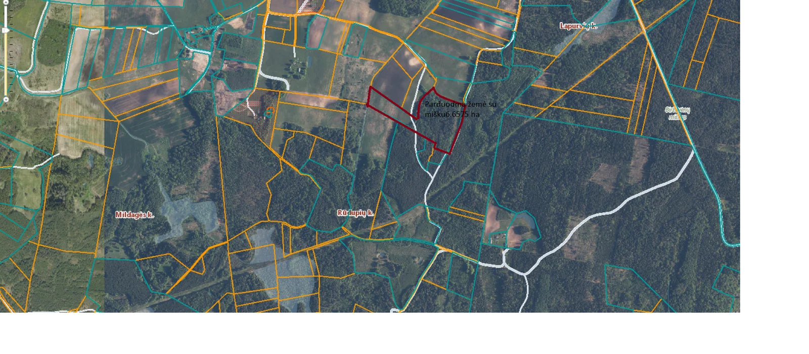 Listing image