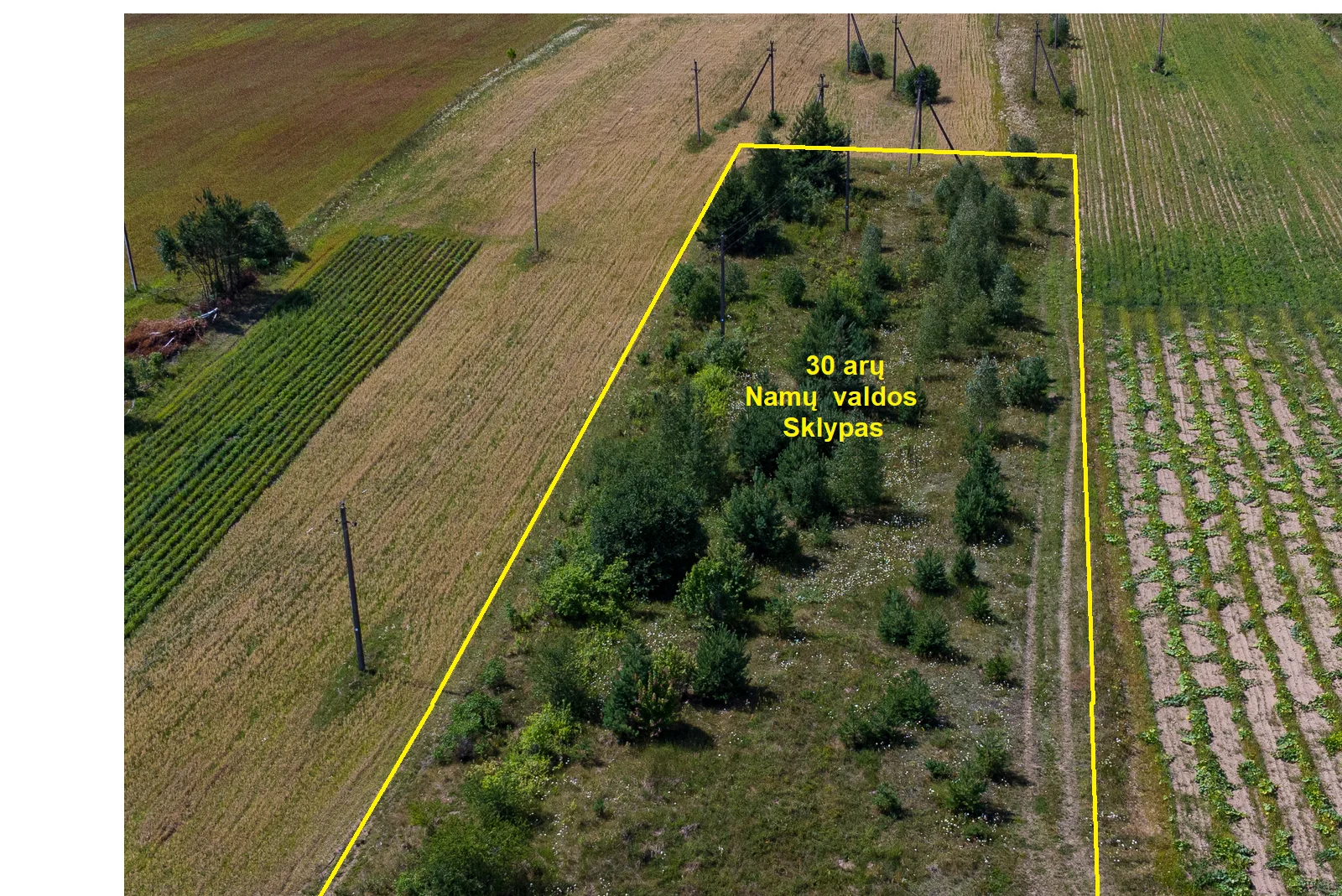 Listing image