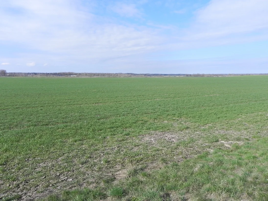 участок Kaišiadorių rajono sav., Gudienoje, Palomenės g. – изображение 4