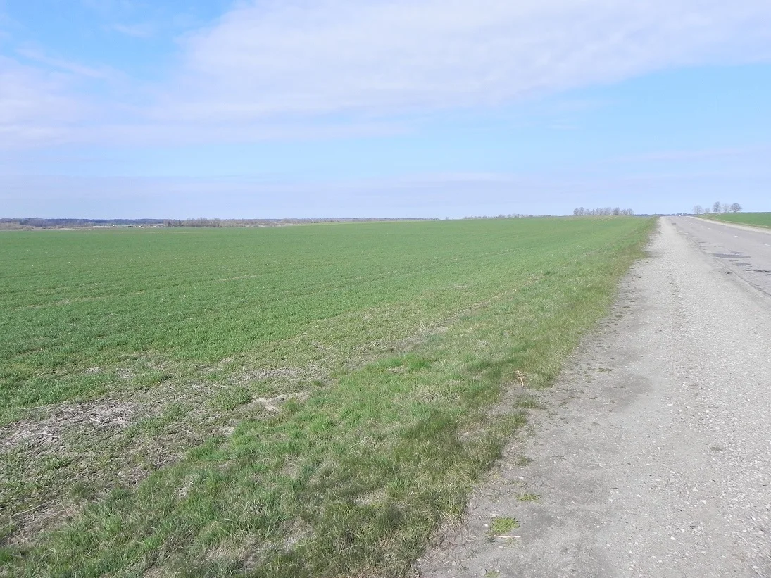 участок Kaišiadorių rajono sav., Gudienoje, Palomenės g. – изображение 3